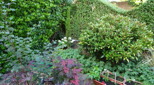 view-images