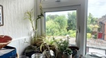 view-images